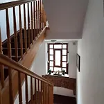 Tr 11 Nr 3 *